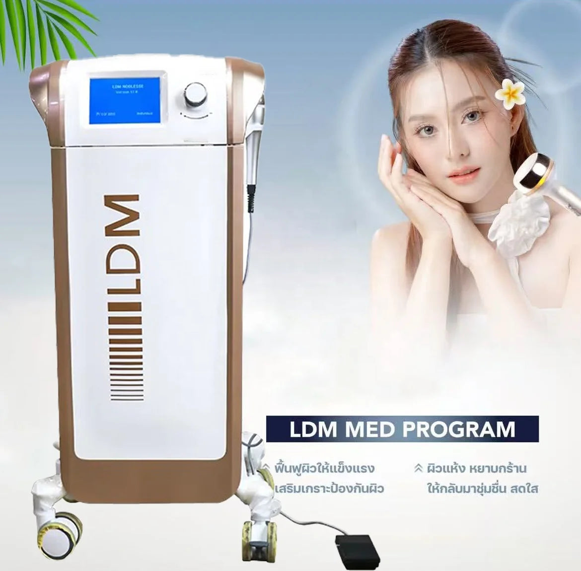 Newest Non-Invasive Painless  Germany Multifunction Wrinkle Remove Skin Rejuvenation Machine LDM 10Mhz Ultrasound Beauty Machine